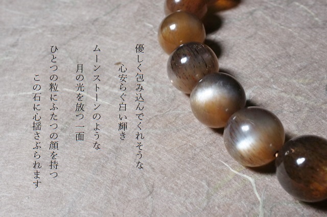 DSC04340文字入り.jpg