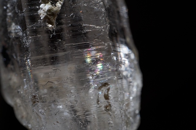 S__73220115.jpg